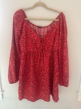 wild fable Red Floral Mini Dress
